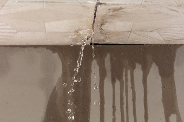 Professional Water Damage Inspection technician working in Quitaque, TX